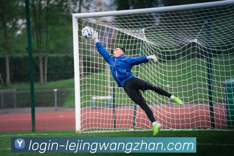 乐竟网站平台生态图